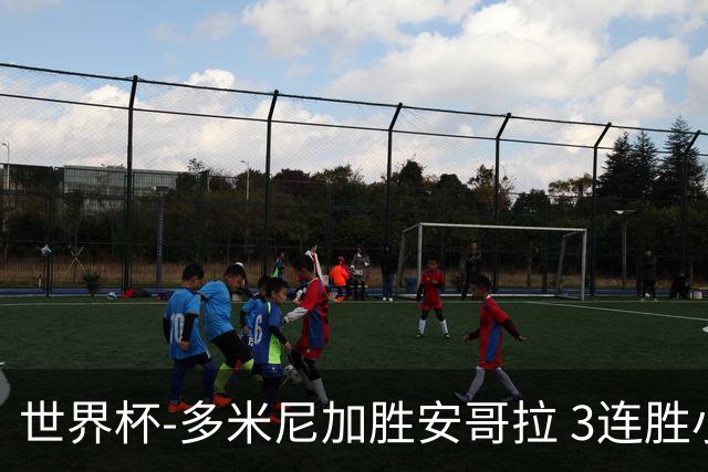 世界杯-多米尼加胜安哥拉 3连胜小组第一晋级